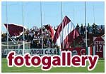 Fotogallery by Rasty